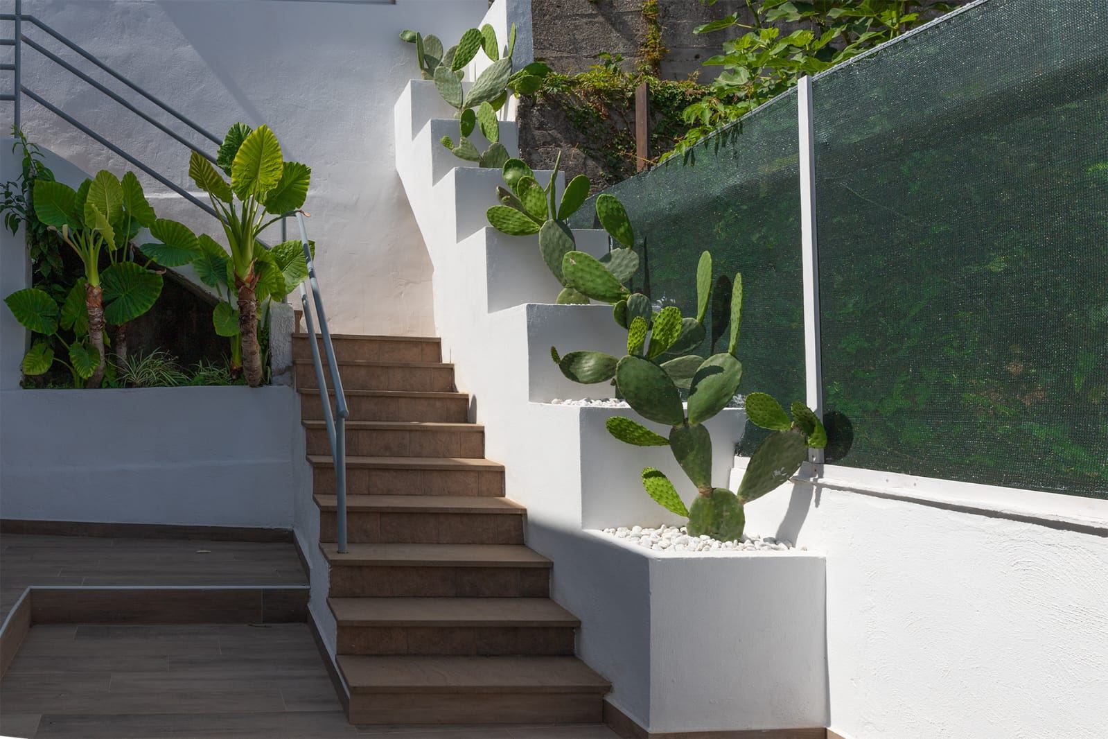 Scala d'ingresso panoramica tra il verde del giardino del B&B Mythos ad Agropoli